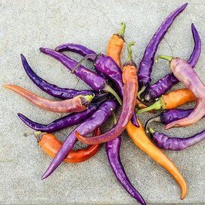 Hot Stuff is a 20in X 14in print on canvas and gallery framed, ready to hang.
